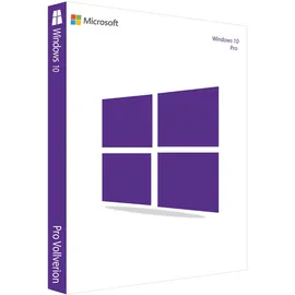 Microsoft Windows 10 Pro ESD ML