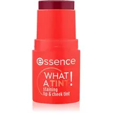 Essence WHAT A TINT! staining lip & cheek tint 10 Grapefruit Bliss