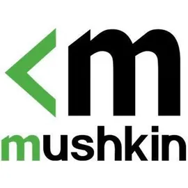Mushkin Tempest 512 GB M.2 MKNSSDEV512GB-D8