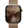 Apple Watch Series 10 GPS + Cellular 46 mm Titangehäuse gold Milanaise Armband gold M/L