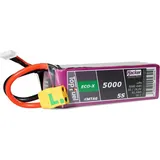 Hacker (LiPo) Pack TF ECO-X 5000mAh 5S MTAG (18.50 V 5000 mAh Zellen-Zahl: 5 20 C Softcase XT90