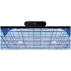 Lenovo ThinkVision MC50 Schwarz