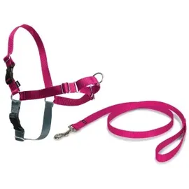 PetSafe Easy Walk Anti-Zieh-Hundegeschirr, himbeere L,