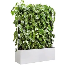 CP Pflanzen-Trennwand, weiß 120,0 x 163,5 cm mit Rollen