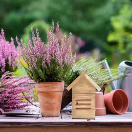 Relaxdays Marienkäferhaus, Holz, Marienkäferhotel Garten, zum Aufhängen, Insektenhotel für Marienkäfer, natur/braun