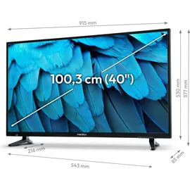 Medion E14080 (MD 30224) 40" LED Full HD TV