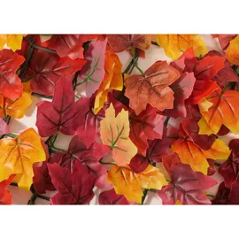 Proregal Windschutz 100 x 500 cm Rot Kunststoff