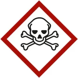 Gefahrstoffsymbol Totenkopf mit gekreuzten Knochen, Typ: 03037