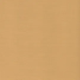LIEDECO Schiebegardine Klettband 60 x 245 cm Gelb 1 Stk.