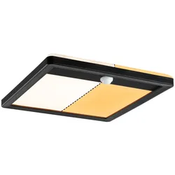 LED Außenpanel Lamina Backlight Bewegungsmelder insektenfreundlich Wandaufbauleuchte - schwarz | eckig