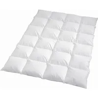 Traumschlaf Daunendecke Arktis extra warm, Füllung: 90% Daunen, 10% Federn 155x220 cm - weiß