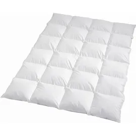 Traumschlaf Daunendecke Arktis extra warm, Füllung: 90% Daunen, 10% Federn 155x220 cm - weiß