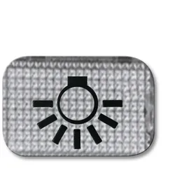 Busch-Jaeger 2145 LI Tastersymbol, transparent Licht