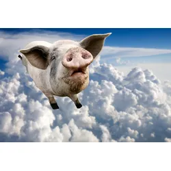 Fototapete PAPERMOON "Fliegende Schweine", bunt, B:3,5m L:2,6m, Vlies, Tapeten