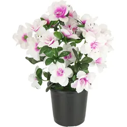 Kunstblume I.GE.A. "Kunstblume Azaleen im Topf", rosa (weiß, rosa), B:21cm H:29cm L:21cm, Polyester, Kunstpflanzen, Blume Kunstpflanze Blumendeko Tischdeko Zimmerpflanze