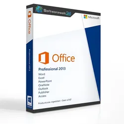 Office 2013 Professional