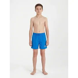Speedo 13" Watershorts Bondi Blue 140