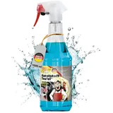 Tuga Chemie Kunststoffreiniger Spray 1 l