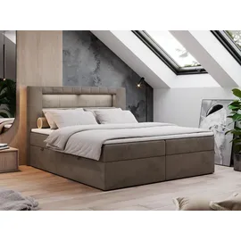 MKS Boxspringbett 160 x 200 cm H3 Braun