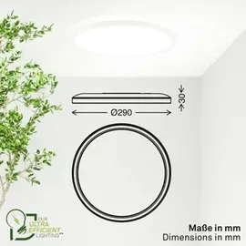 Briloner LED-Panel 1 flg. 29x3 cm weiß