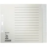 Leitz Register blanko Tauenpapier grau