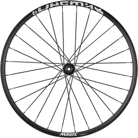MAVIC E-Deemax Disc IS 6-bolt Hinterrad 29