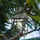 Garden Pleasure Solarleuchte Thaddeus