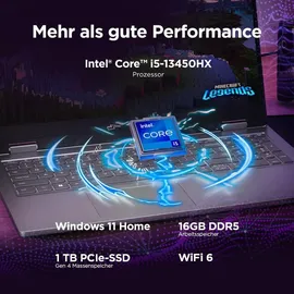 Lenovo LOQ Essential 15IRX11 Intel Core i5-13450HX 16 GB RAM 512 GB SSD RTX 5050 83SC0027GE