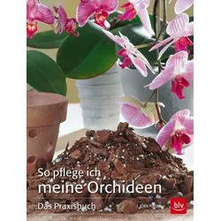 So pflege ich meine Orchideen