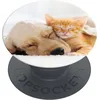 PopGrip Basic Cat & Dog (70082)