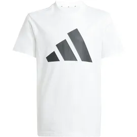 adidas Essentials Big Logo Set Trainingsanzug Schwarz/Weiß 152