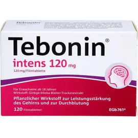 Dr. Willmar Schwabe Tebonin intens 120 mg Filmtabletten 120 St.
