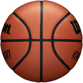 Wilson Basketball Evolution Game Ball,