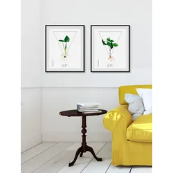 Bild QUEENCE "Calla palustrisa", grün (farbe rahmen: schwarz, farbe bild(er): grün), B:40cm H:50cm, Acrylglas, Papier, Holz, Bilder, HD Premium Poster-Druck inkl. Holzrahmen