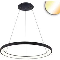 ISOLED LED Hängeleuchte Orbit 580, schwarz, 48W, rund, ColorSwitch 3000/3500/4000K, dimmbar