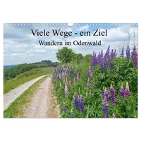 Calvendo Viele Wege - ein Ziel Wandern im Odenwald