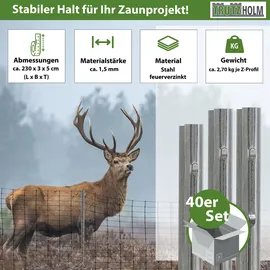 Trutzholm Zaunpfosten 40 x 230 cm Grau/Feuerverzinkt