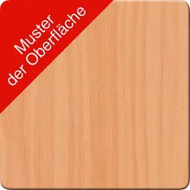 FM Helmets Basic Aktenschrank 80,0 x 44,2 x 111,5 cm braun