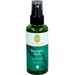 ENERGIEKICK Raumspray Bio 50 ml