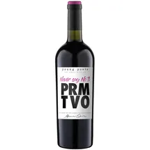 young poets Never say no to Primitivo Puglia IGT (1x0.75l)