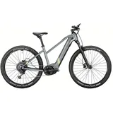 Conway Cairon S 2.0 29 Zoll RH 49 cm Unisex shadowgrey metallic / desert matt