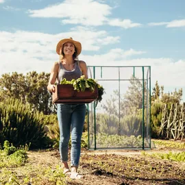 Relaxdays Tomatengewächshaus 1,7 x 1,3 x 0,75 m transparent/grün