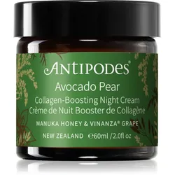 Antipodes Avocado Pear Collagen-Boosting Night Cream nährende Nachtcreme für das Gesicht 60 ml