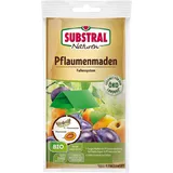 Substral Naturen Pflaumenmaden-Falle 1 Set