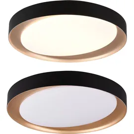 Trio Zeta R62712402