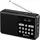 Sandberg Speaker Radio FM+BT Recharge schwarz