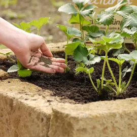 Substral Naturen Bio Gartendünger 1,7 kg