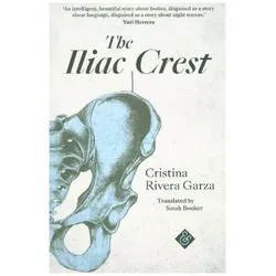 The Iliac Crest