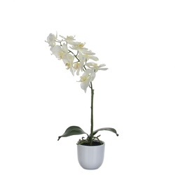 Mica Kunstpflanze Phalaenopsis im Topf weiß, 60 x 16 cm