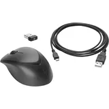 HP Premium Wireless Mouse (1JR31AA#AC3)